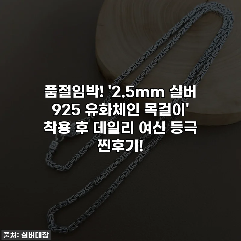 🔥 품절임박! '2.5mm 실버 925 유화체인 목걸이' 착용 후 데일리 여신 등극 찐후기!