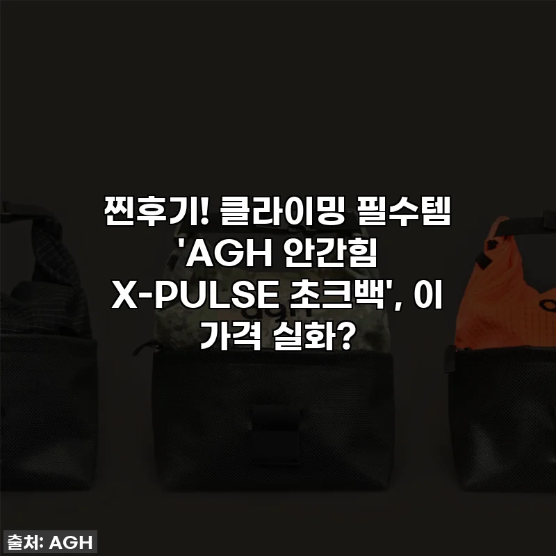 찐후기! 클라이밍 필수템 'AGH 안간힘 X-PULSE 초크백', 이 가격 실화?