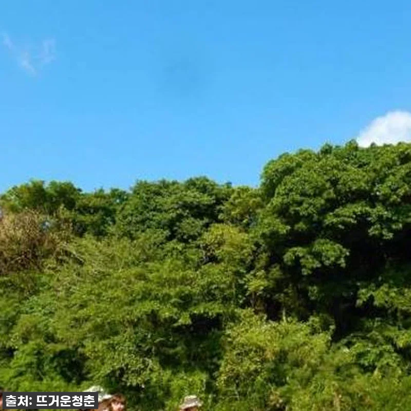 오키나와 망그로브 카약 투어, 이거 관련 이미지 1