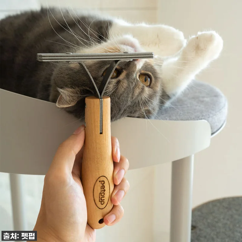 찐후기 폭발! 펫펍 쓱싹스크래퍼, 고 관련 이미지 1