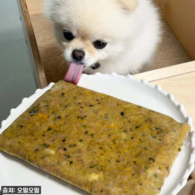 강아지화식 초신선 주문제조 오밀오밀 관련 이미지 1