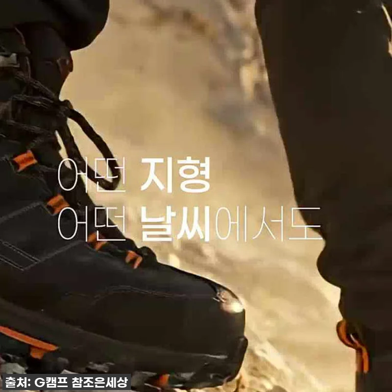 이건 무조건 쟁여야 해! 로바 마우리 관련 이미지 5