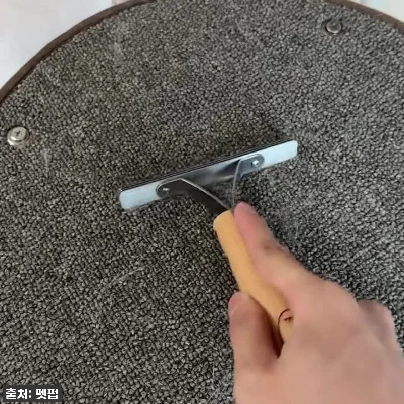 찐후기 폭발! 펫펍 쓱싹스크래퍼, 고 관련 이미지 6