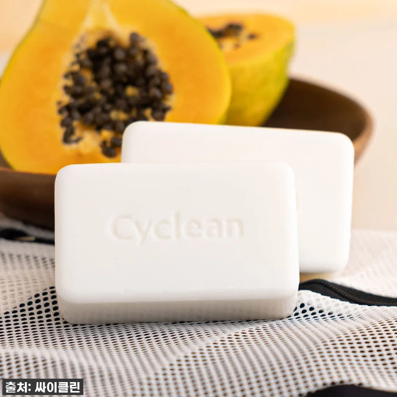 이건 무조건 쟁여야 해! 싸이클린 E 관련 이미지 8