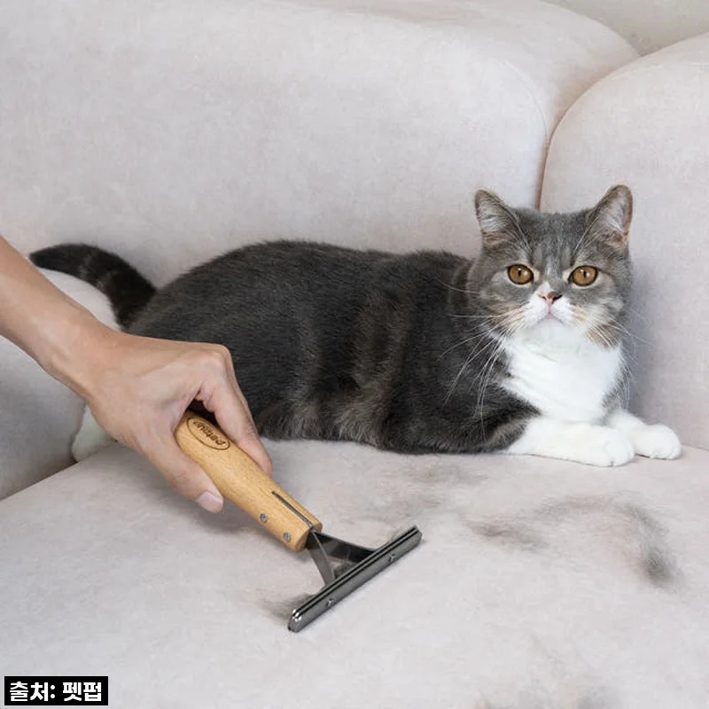 찐후기 폭발! 펫펍 쓱싹스크래퍼, 고양이털제거기 품절대란 템 등극! 이제 청소 10초컷 실화?