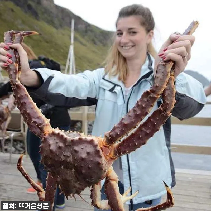 핀란드 3박 2일 허스키 사파리 & 관련 이미지 1