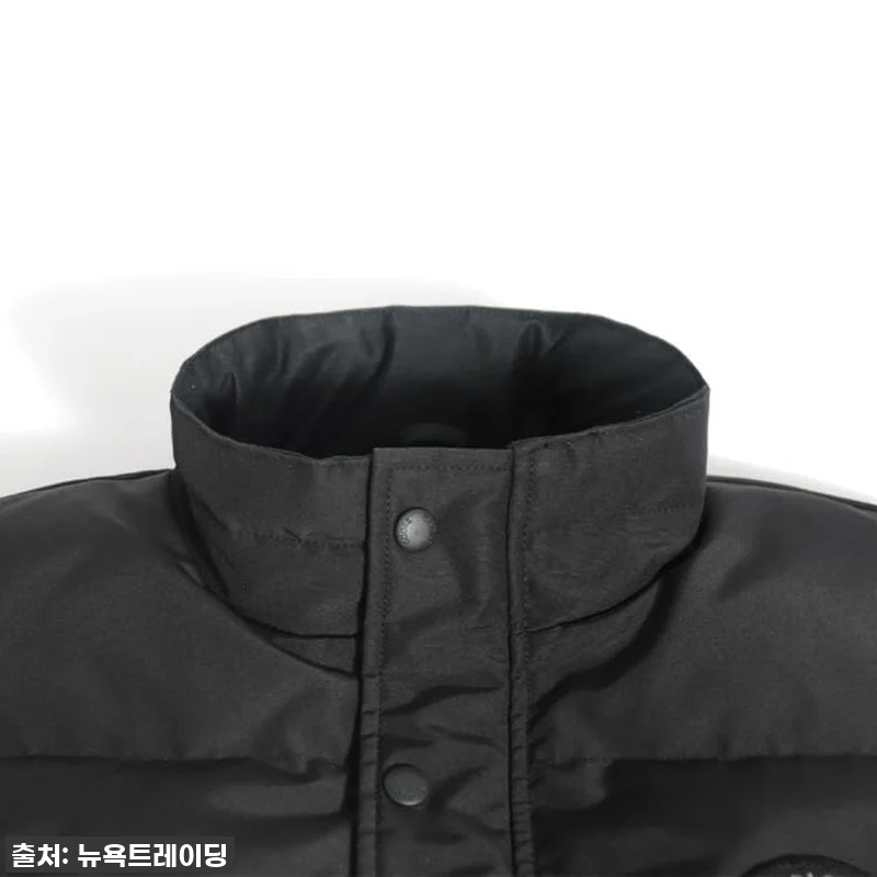 캐나다구스 가슨 베스트, 겨울부터 봄 관련 이미지 1