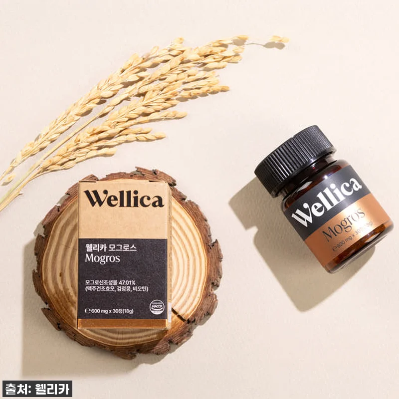 웰리카 모그로스 독일 맥주효모 비오틴 관련 이미지 1
