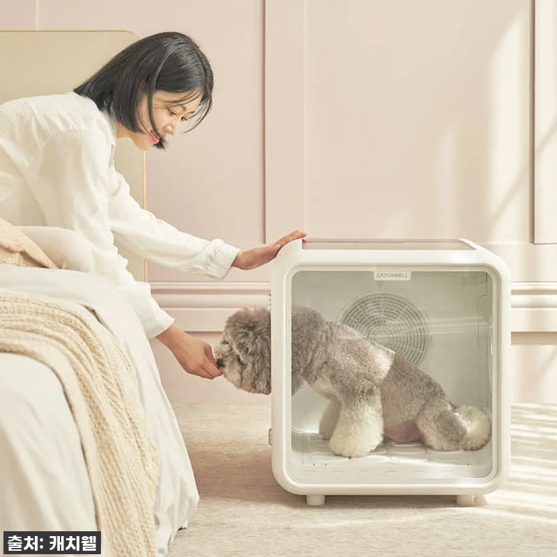 캐치웰 펫드라이룸 사용 후기: 반려동 관련 이미지 1