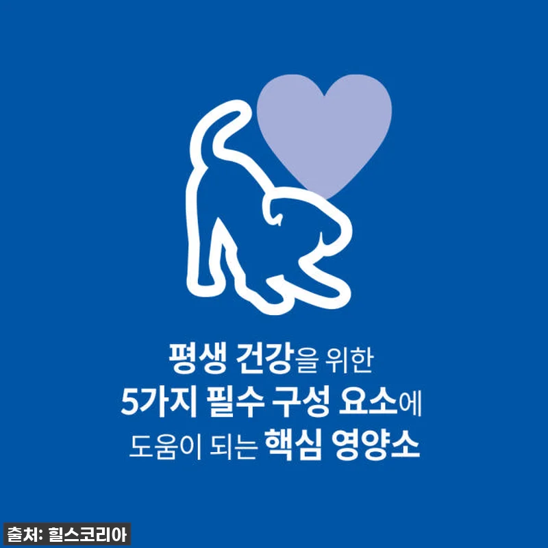힐스 강아지사료 대형견용 퍼피 라지브 관련 이미지 1