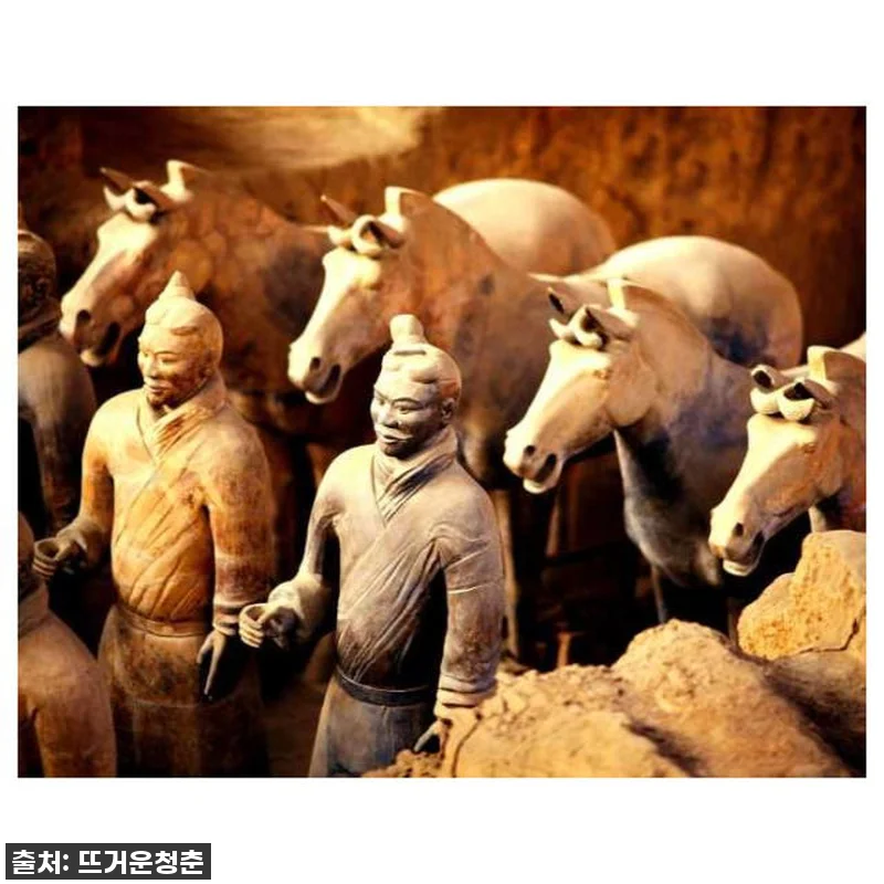중국 산시성 시안 병마용 반포 박물관 관련 이미지 1