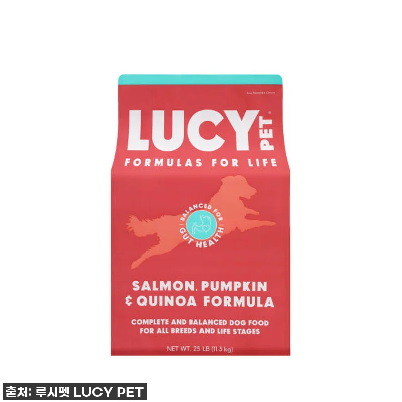 루시펫 강아지사료 연어 호박 퀴노아 관련 이미지 1