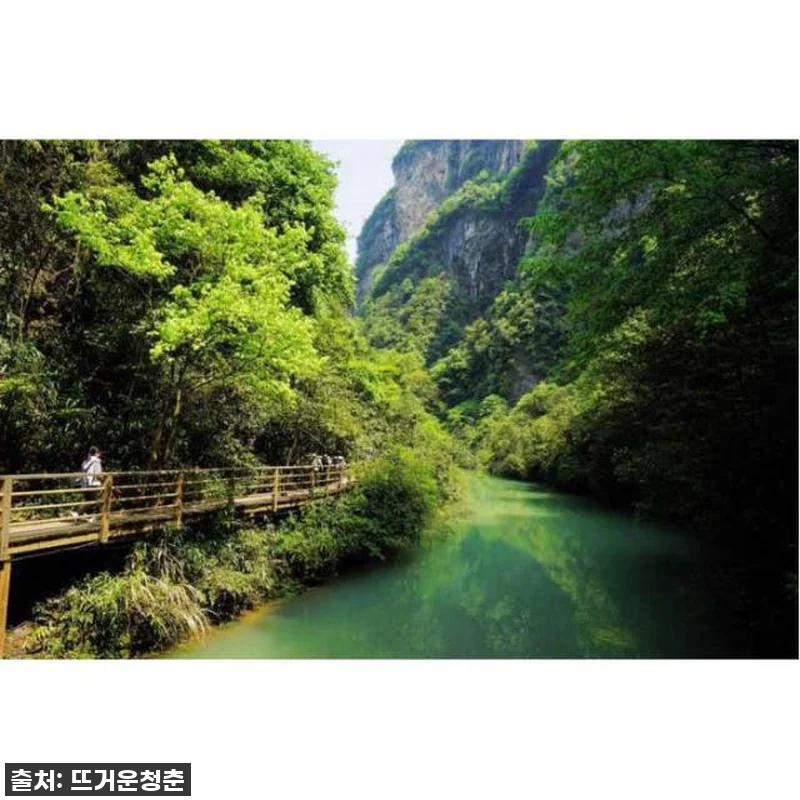 장가계 대협곡 유리 다리, 88% 할 관련 이미지 2