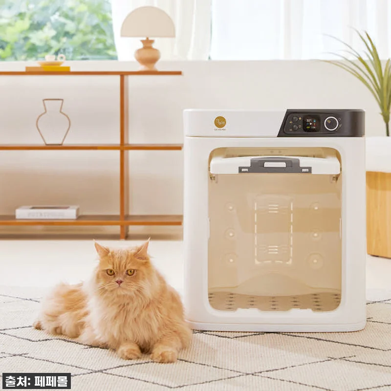 우리집 댕냥이 피부 지킴이! 페페 업 관련 이미지 1
