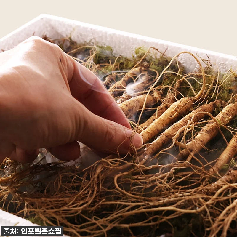 진삼애 강원도 산양삼 선물세트, 직접 관련 이미지 2