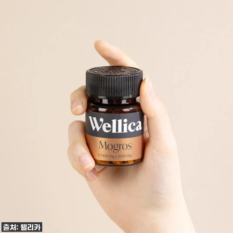 웰리카 모그로스 독일 맥주효모 비오틴 관련 이미지 2