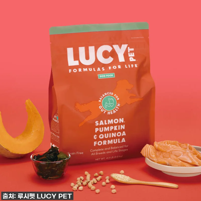 루시펫 강아지사료 연어 호박 퀴노아 관련 이미지 2