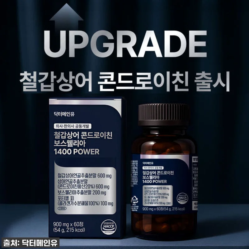 철갑상어 콘드로이친 보스웰리아 140 관련 이미지 2