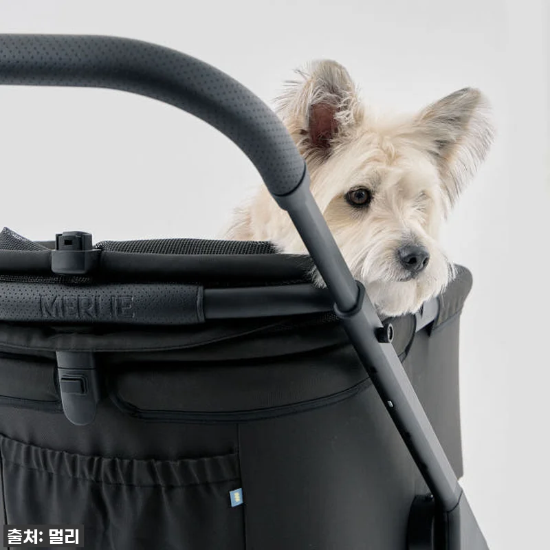 드디어 찾았다! 키 큰 견주도 허리 관련 이미지 3