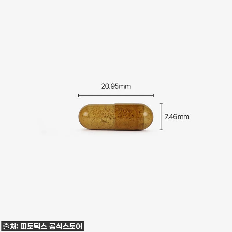 환절기 속 쓰림 안녕! 피토틱스 위편 관련 이미지 3