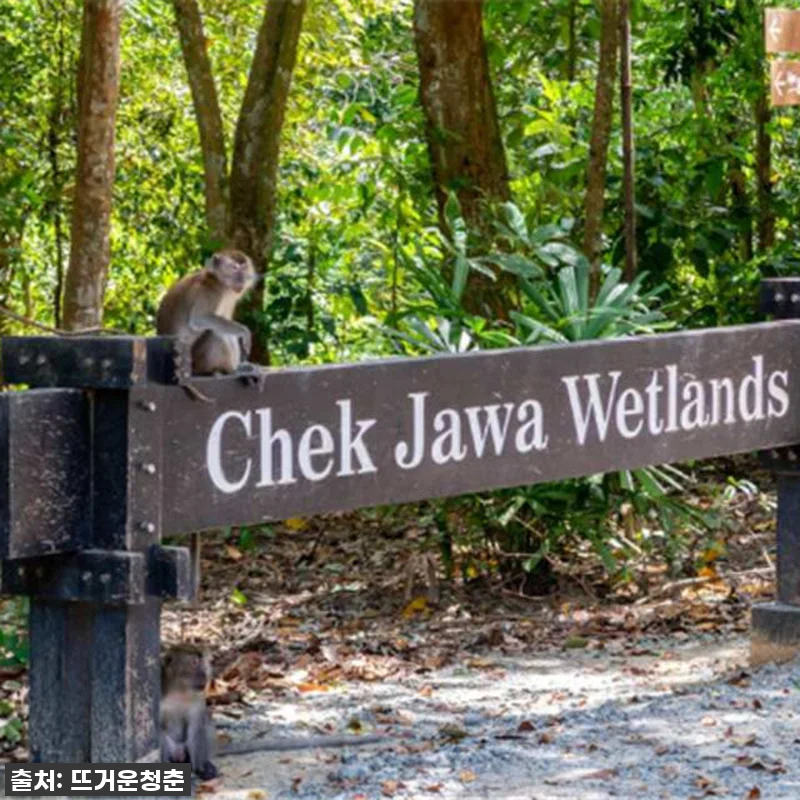 싱가포르 속 작은 보물섬, 풀라우 우 관련 이미지 3