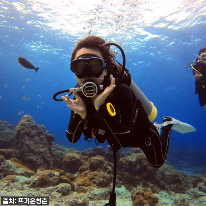 대만 뤼다오 그린 아일랜드 PADI 관련 이미지 3