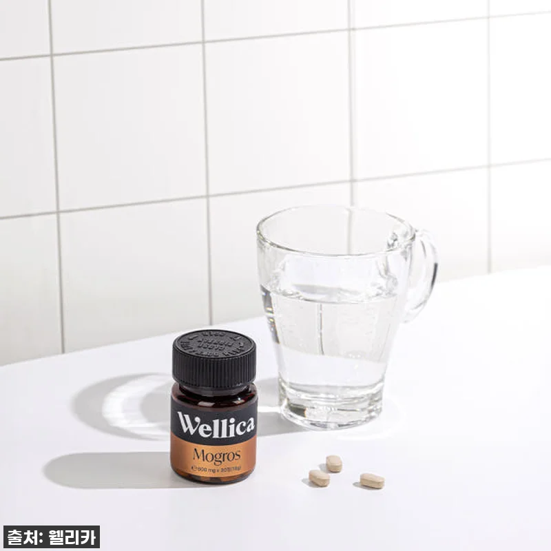 웰리카 모그로스 독일 맥주효모 비오틴 관련 이미지 3