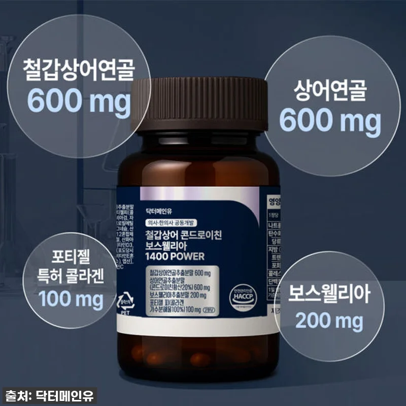 철갑상어 콘드로이친 보스웰리아 140 관련 이미지 3
