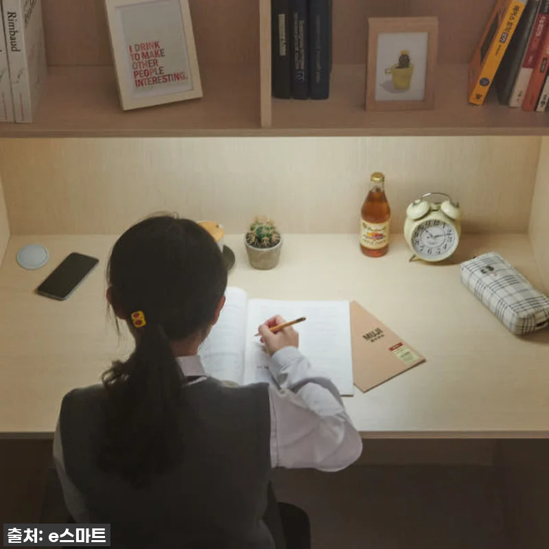 e스마트 퓨어 2층 성인 책상 수납 관련 이미지 4