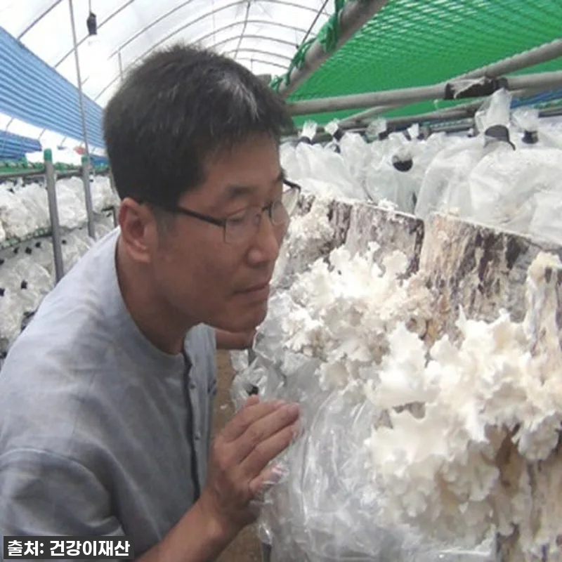 환절기 면역력 비결? 경신바이오 발효 관련 이미지 4