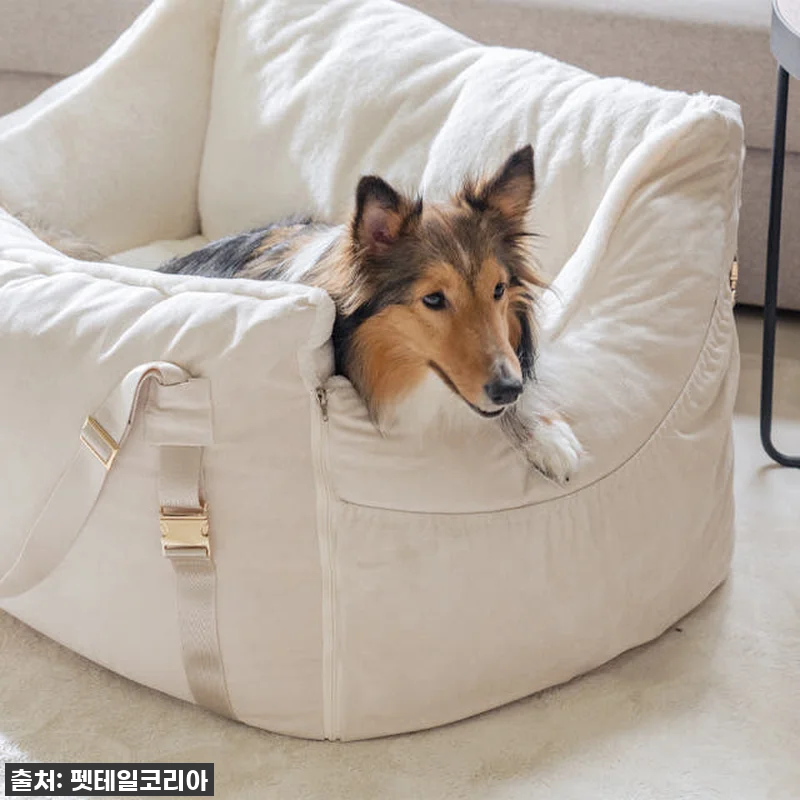 편안함과 안전을 동시에! 펫테일 셀러 관련 이미지 4