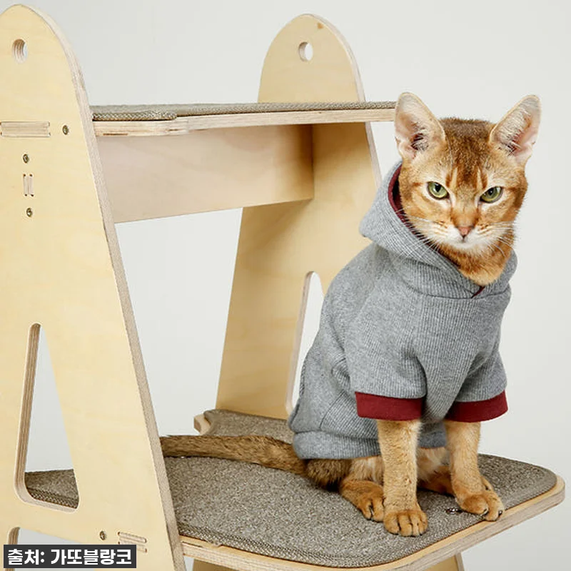 에펠 타워 원목 캣타워 관련 이미지 4
