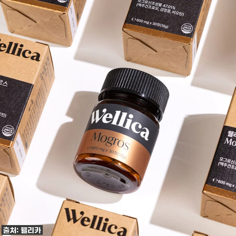 웰리카 모그로스 독일 맥주효모 비오틴 관련 이미지 4