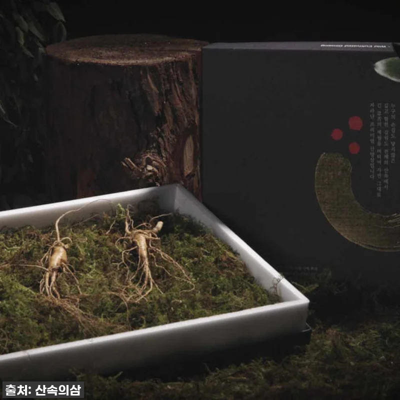 프리미엄 산속의삼 6년근 산양삼 10 관련 이미지 4