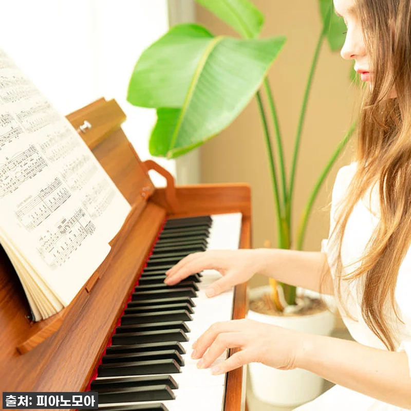 듀로 우드스타일 V6 데스크형 풀커버 관련 이미지 4