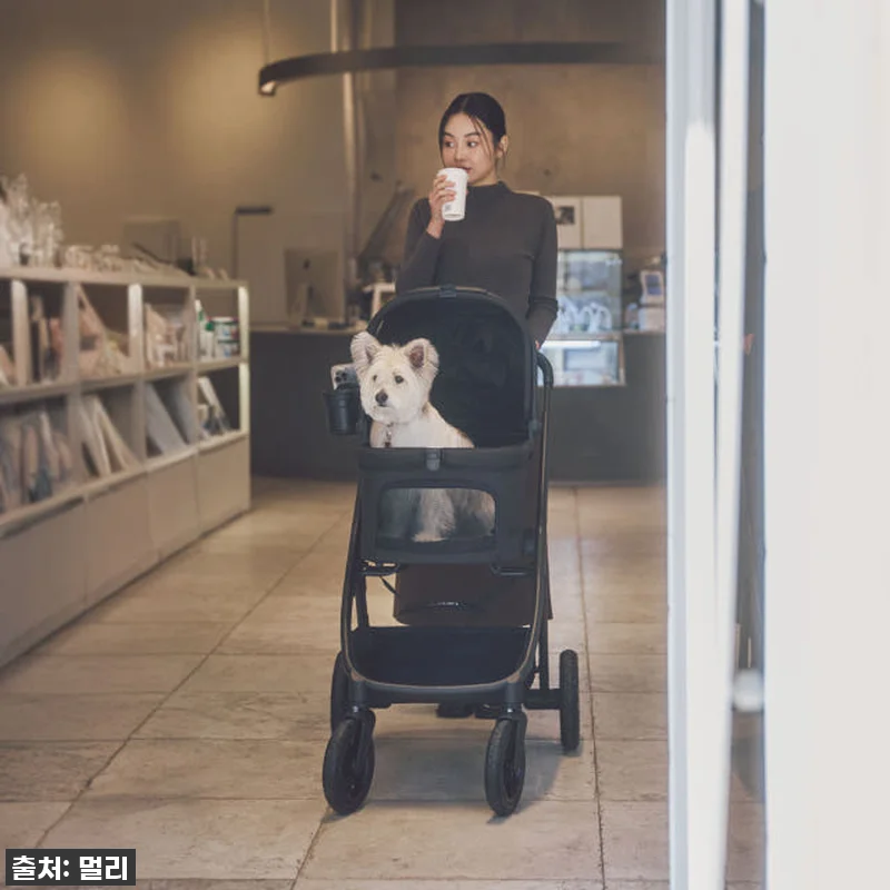 드디어 찾았다! 키 큰 견주도 허리 관련 이미지 5