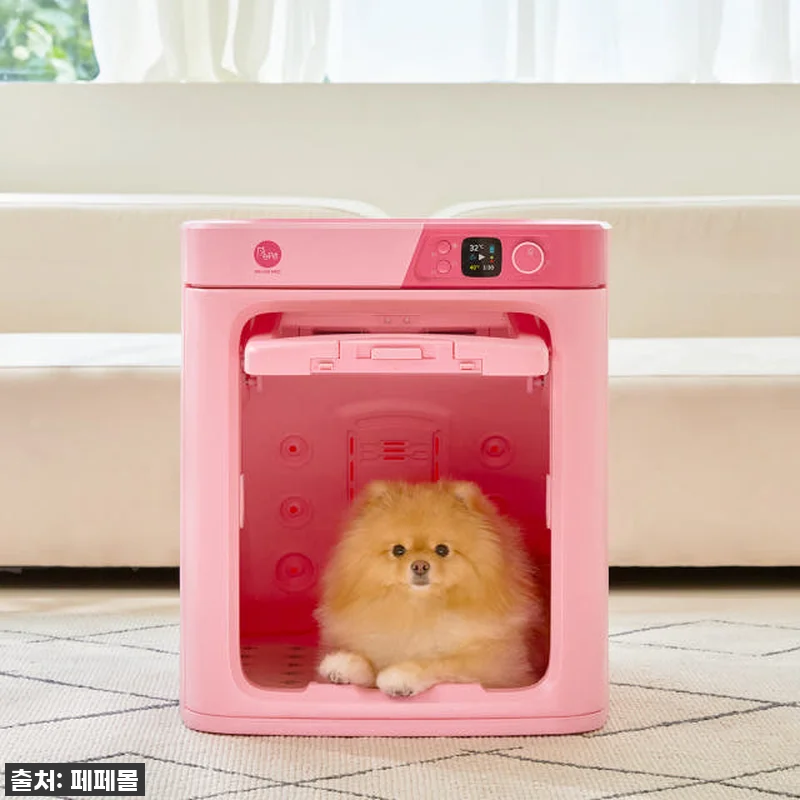 우리집 댕냥이 피부 지킴이! 페페 업 관련 이미지 4