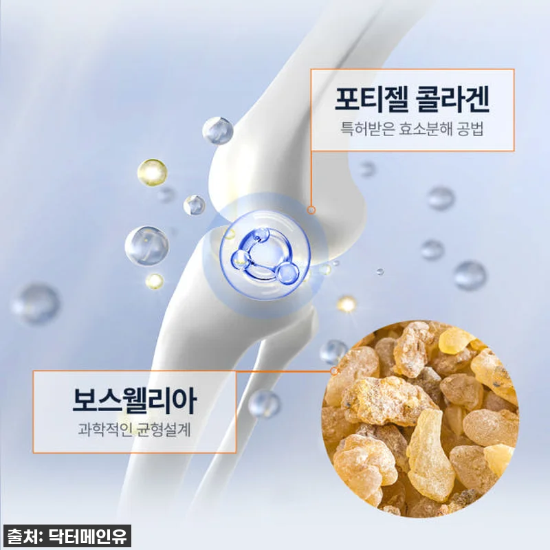 철갑상어 콘드로이친 보스웰리아 140 관련 이미지 5