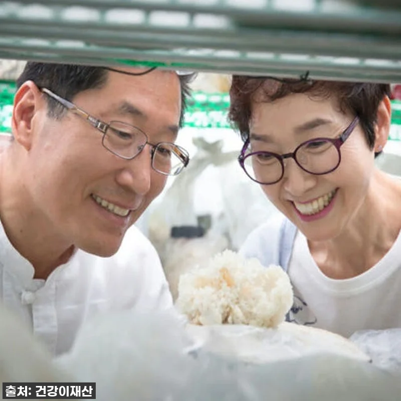 환절기 면역력 비결? 경신바이오 발효 관련 이미지 6