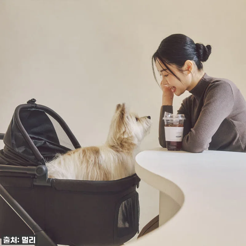 드디어 찾았다! 키 큰 견주도 허리 관련 이미지 6