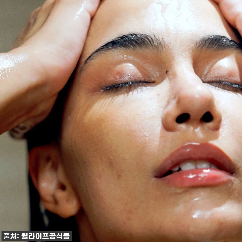 지친 하루의 끝, 윌라이프 사우나 릴 관련 이미지 6