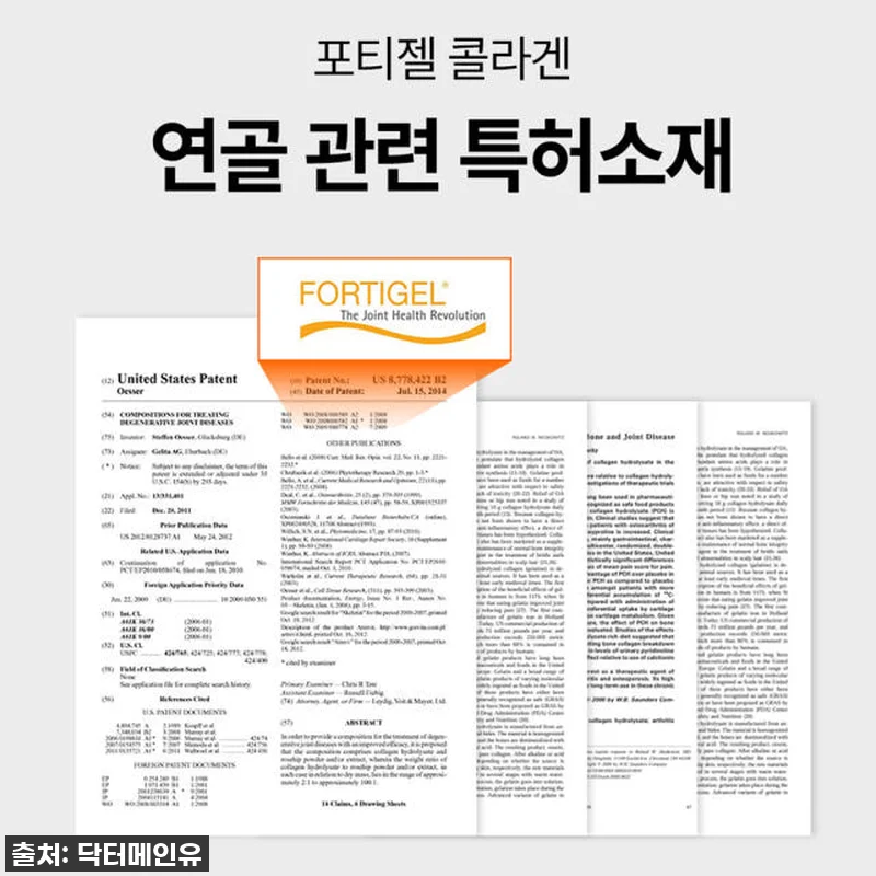 철갑상어 콘드로이친 보스웰리아 140 관련 이미지 6