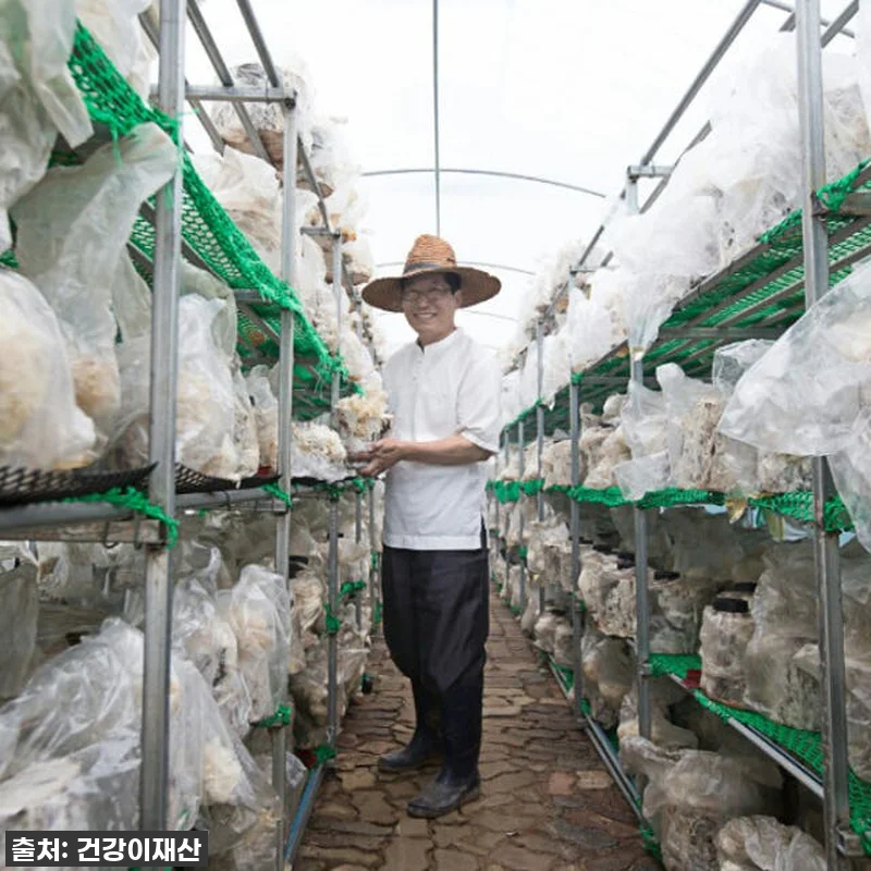 환절기 면역력 비결? 경신바이오 발효 관련 이미지 7