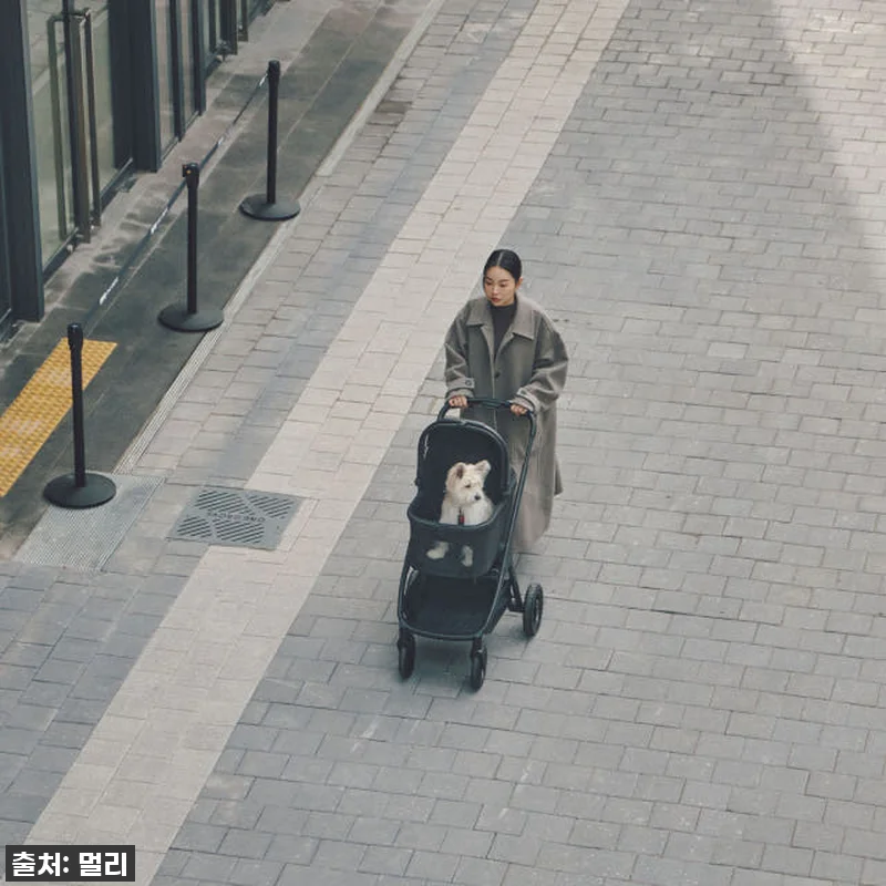 드디어 찾았다! 키 큰 견주도 허리 관련 이미지 7