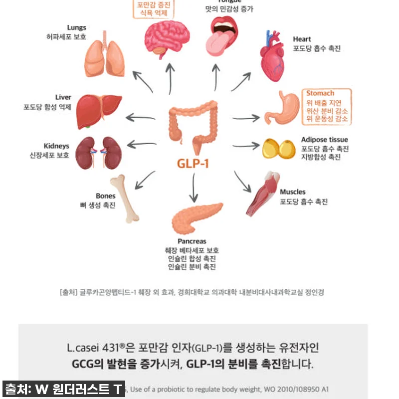 원더러스트 위고풀 포만감 특허3종, 관련 이미지 8