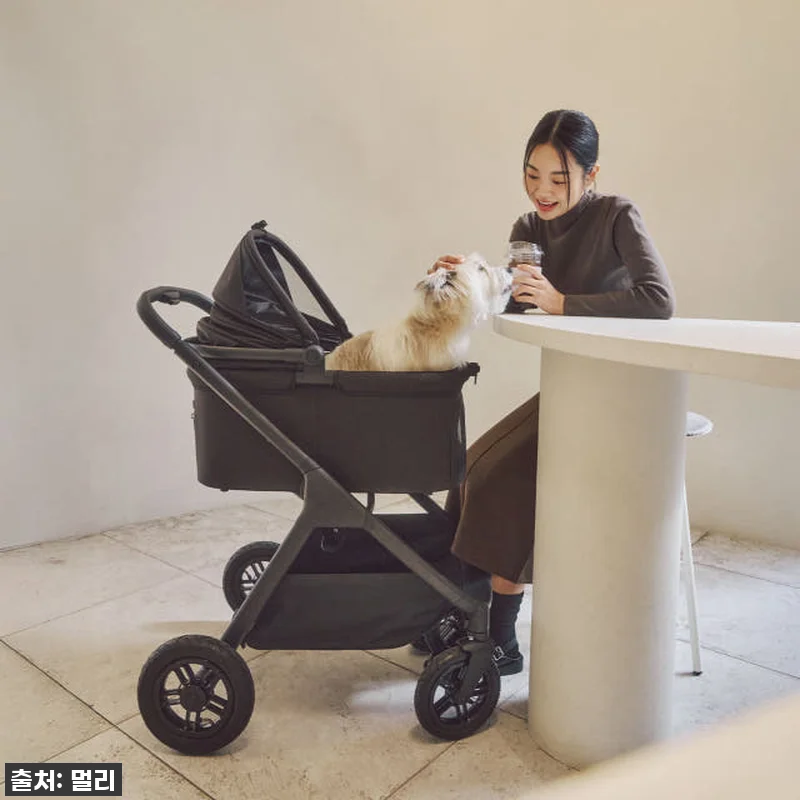 드디어 찾았다! 키 큰 견주도 허리 관련 이미지 8