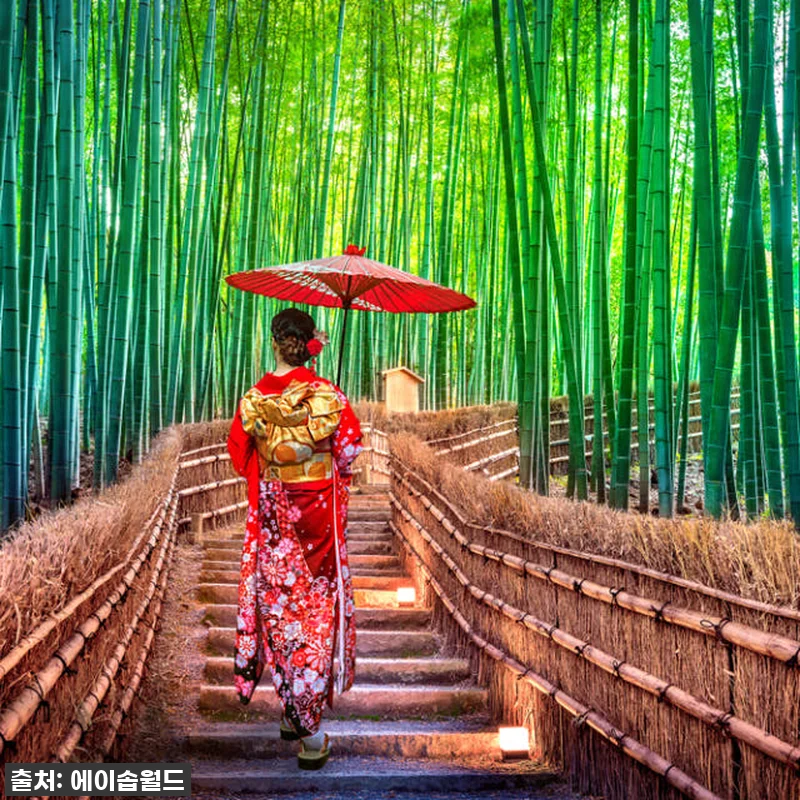 오사카 간사이공항 – 교토, 나라, 관련 이미지 8