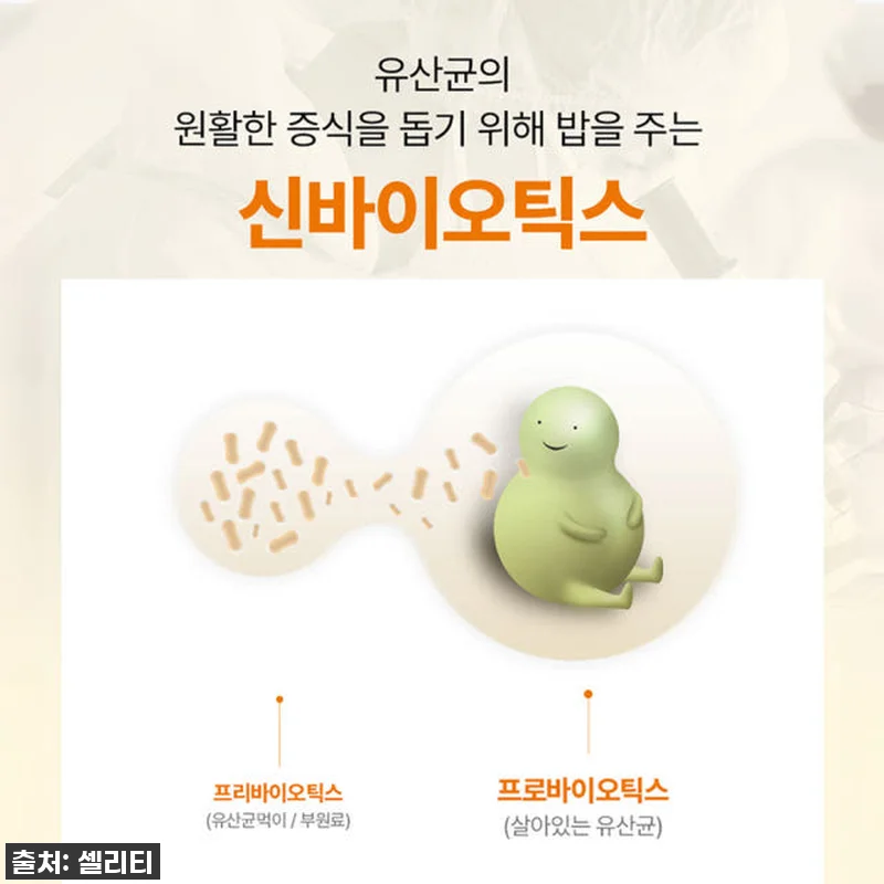 셀리티 프로피오 다니스코 유산균 프로 관련 이미지 8