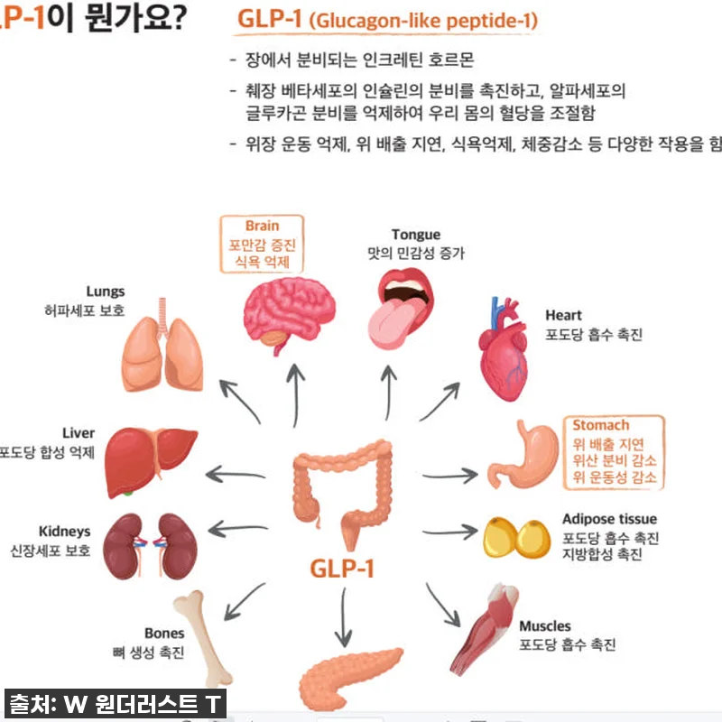 원더러스트 위고풀 포만감 특허3종, 관련 이미지 9