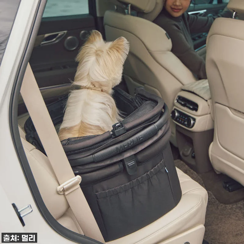 드디어 찾았다! 키 큰 견주도 허리 관련 이미지 9